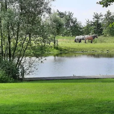 De Karkooi Holiday home