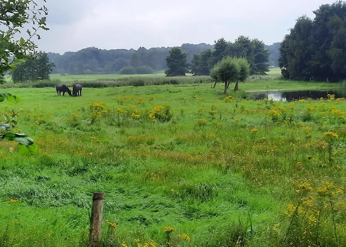 De Karkooi Hébergement de vacances