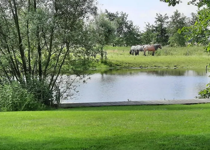 De Karkooi Hébergement de vacances